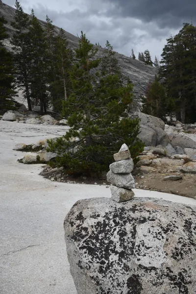 DSC_4470 (Large).JPG